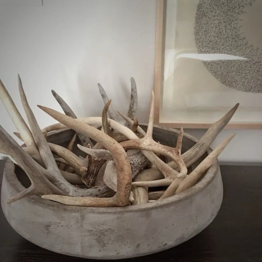 Natural Deer Antler Decor